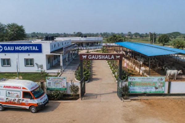 rrseva11
